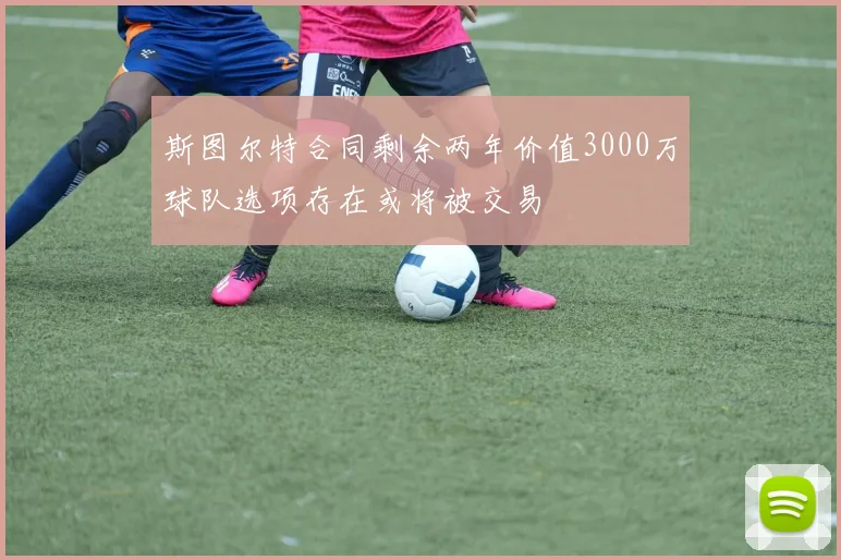 斯图尔特合同剩余两年价值3000万球队选项存在或将被交易
